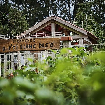 Bed and Breakfast Le P'Ti Blanc Des "O" Salazie Exterior foto